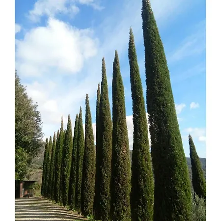 Casa Ai Cipressi